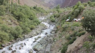 Water Source Flowing Surrounded By Flora And Rocks - Handheld