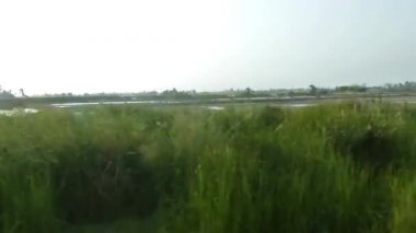 Driving By Flora On Field - Slide - Left To Right