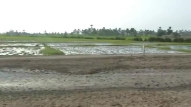 Passing By Fields With Flora - Slide - Left To Right