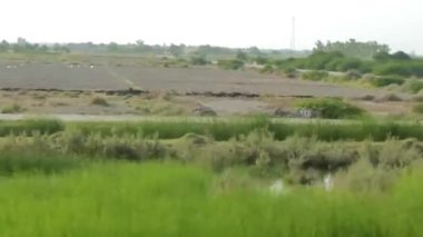 Passing By Road With Men On Motorbikes - Slide - Left To Right