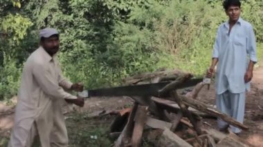 Men Cutting Wood Surrounded By Flora - Static 