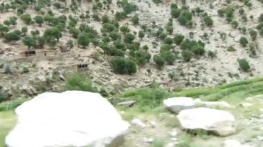 Passing By Flora On Mountains - Slide - Left To Right