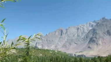 Plants In Front Of Mountains Landscape - Pan Right To Left, Then Tilt Up To Down 