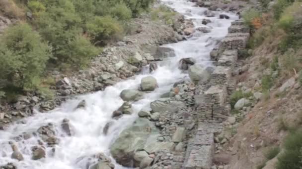 Rocks Water Source Flowing Flora Static — Vídeos de Stock