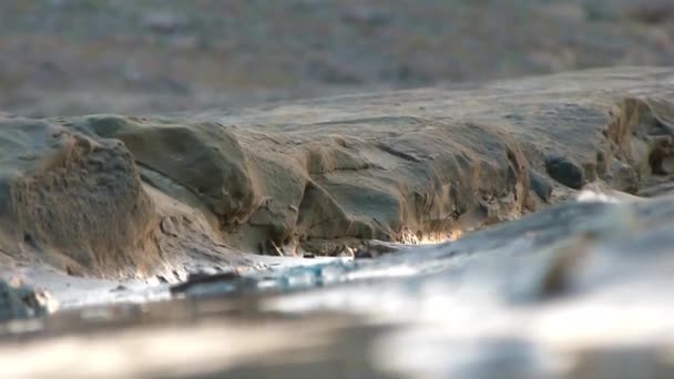 Rocks Shore Water Shining Static — Stock Video