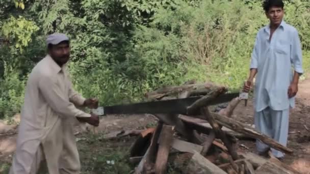 Men Cutting Wood Surrounded Flora Static — Stok video