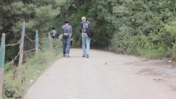 Men Walking Way Surrounded Flora Static — Stok video