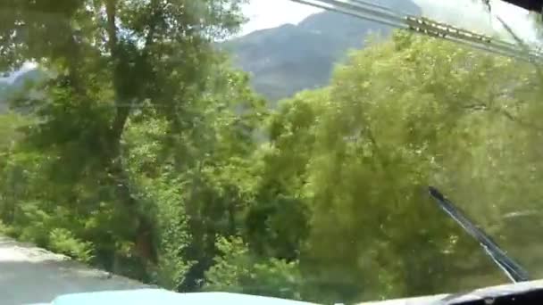 Driving Trees Mountains Pan Right Left Slide Forward — Vídeos de Stock