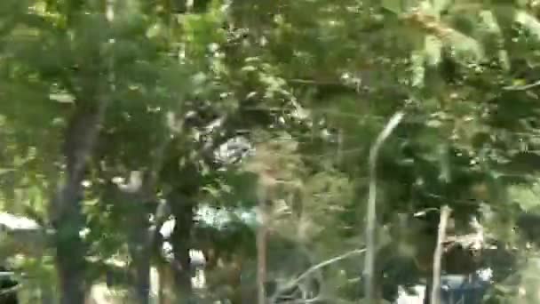 Passing Trees Truck Slide Left Right — Stok video