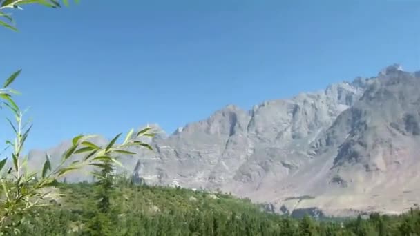 Plants Front Mountains Landscape Pan Right Left Tilt — Vídeos de Stock