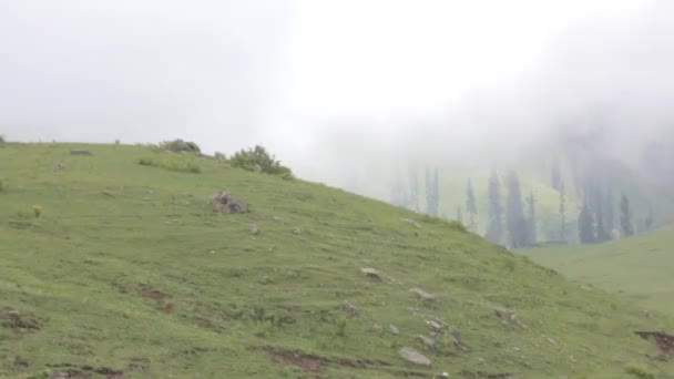 Foggy Mountain Field Pan Left Right — Stok video
