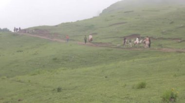 People And Horses In Foggy Mountain Field - Static 