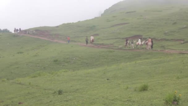 People Horses Foggy Mountain Field Static — стокове відео