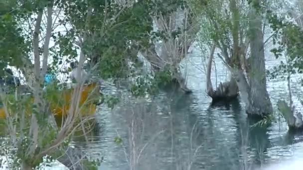 Чоловіки Човні Біля Дерев Джерелі Води Статичні — стокове відео