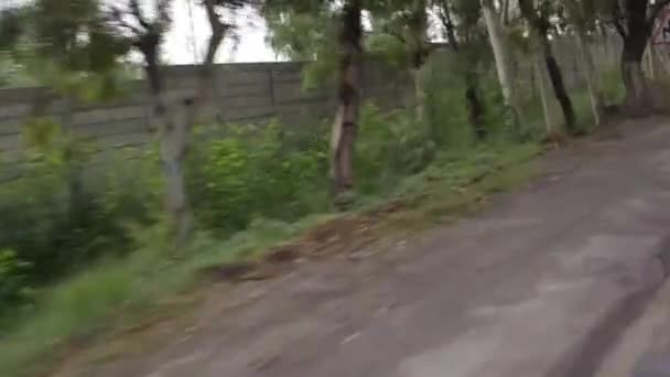 Driving Fast Tree Trunks Fence Slide Left Right — Stock video