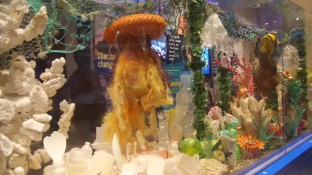 Aquarium Exposition People Pan Left Right — Stok Video
