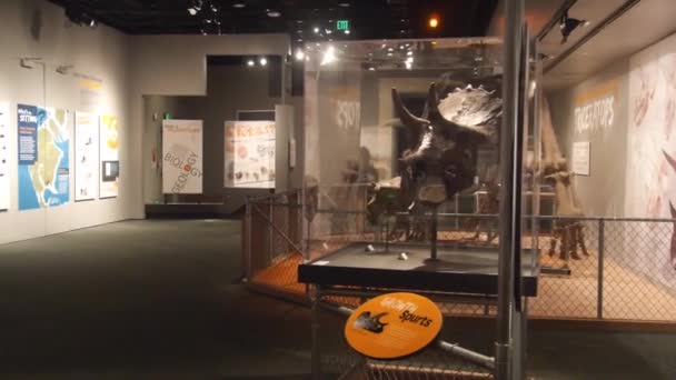 Dinosaur Skeleton Exposed Museum People Pan Right Left — стоковое видео