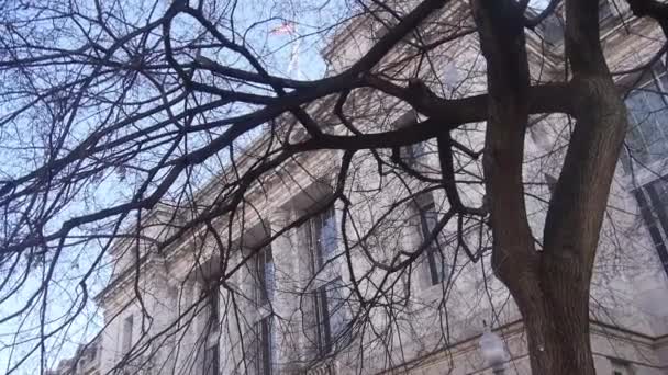 Dry Tree Branches Front Monument Handheld — стоковое видео