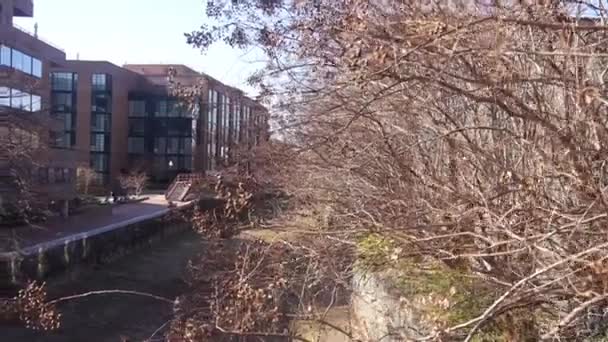 Dry Tree Branches Train Rails Slide Right Left — Stockvideo