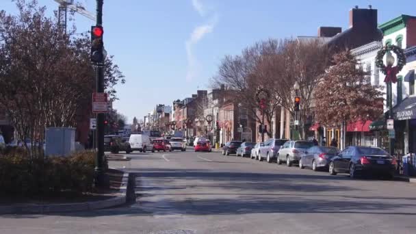 Green Light Road Trees Static — Stockvideo