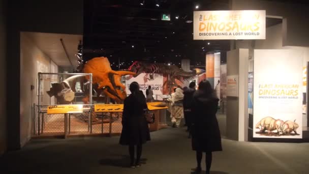 People Walking Museum Dinosaur Exposition Static — Stock videók