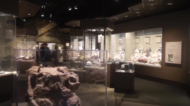 Rocks Showcases Museum Exposition Pan Right Left — Stock Video