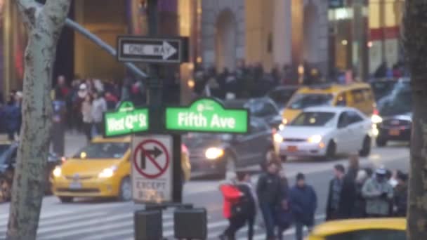 Fifth Avenue Sign Front Busy Street People Cars Static — стоковое видео