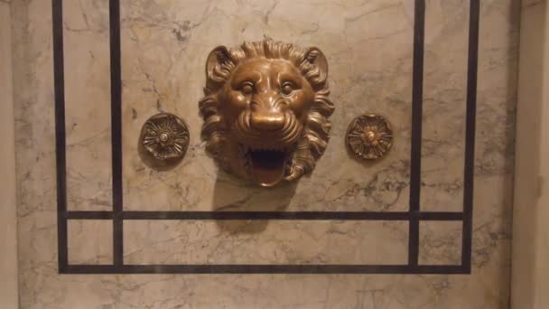 Golden Lion Face Library Wall Static — Video Stock