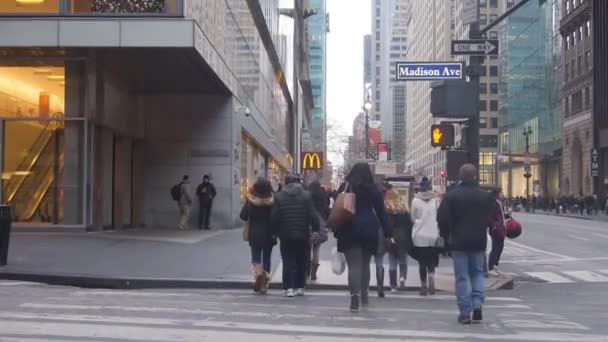 People Walking Zebra Crossing Cars Shops Static — ストック動画