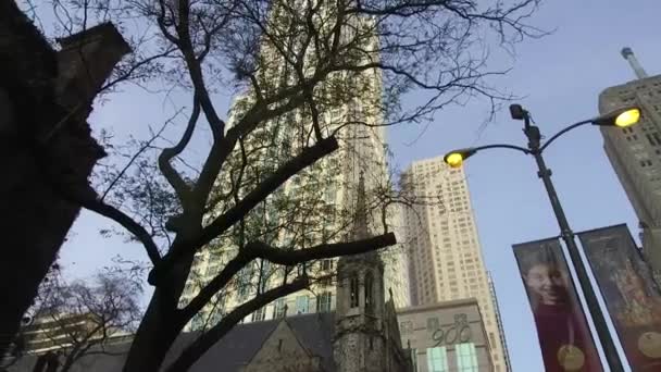 Buildings Tree Black Light Pan Right Left Slide Left Right — Stockvideo