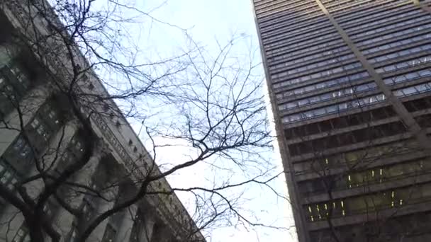 Buildings Trees Black Light Slide Forward — Vídeos de Stock
