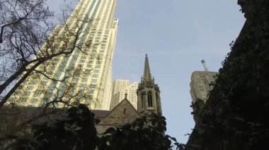 Garden In Black Light In Front Of Buildings From Below - Slide - Right To Left