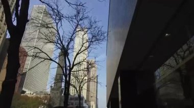 Walking Past Trees In Black Light In Front Of Buildings From Below - Slide Forward