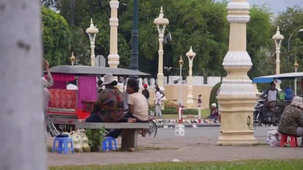 Nsanlar Fenerler Arkada Ağaçlarla Dolu Bir Sokakta Uçuşan Kuşlar — Stok video