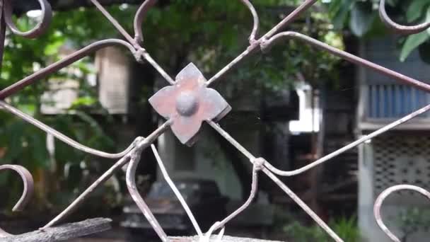 Demir Çiçek Çitinin Arkasındaki Sağdan Sola Kaydır — Stok video