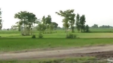 Passing By Field With Flora - Slide - Left To Right