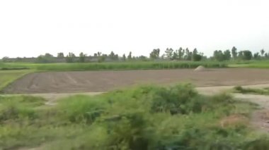 Passing By Field Of Flora - Slide - Left To Right