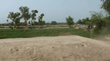 Passing By Flora And Parked Car - Slide - Left To Right