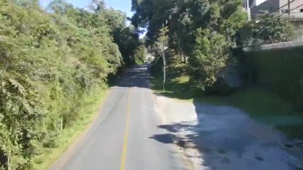 Estrada Cercada Por Árvores Árvores Deslize Para Frente Depois Para — Vídeo de Stock