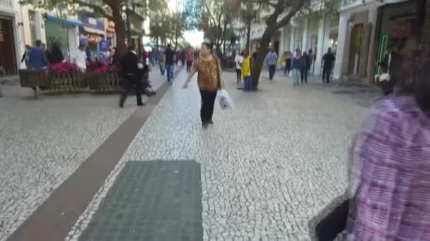 Gente Que Camina Calle Árbol Rosado Florecido Sobre Cielo Pájaro — Vídeos de Stock