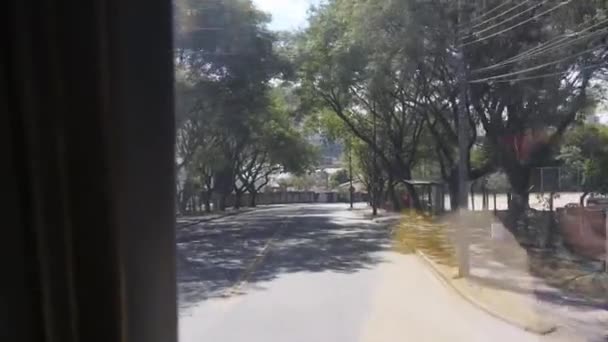 Baumschatten Auf Der Straße Blick Aus Dem Busfenster Folie Vorwärts — Stockvideo