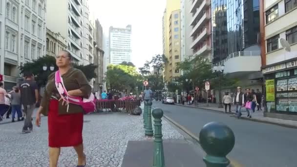 Marcher Dans Rue Occupée Avec Les Gens Route Les Fleurs — Video