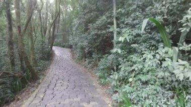 Cobbles Alley Way Surrounded By Flora - Slide Right To Left.