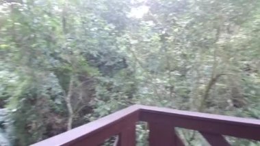 Flora ve Odun Vakfı - Pan - Sağdan Sola.