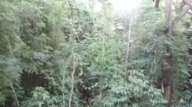 Flora View When Going Down Wooden Stairs - Slide Forward, Then Slide Left To Right.