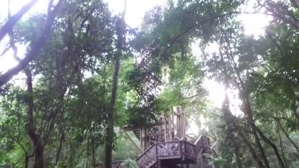 Brug Leidt Naar Wood Foundation Trappen Omringd Door Flora Tilt — Stockvideo