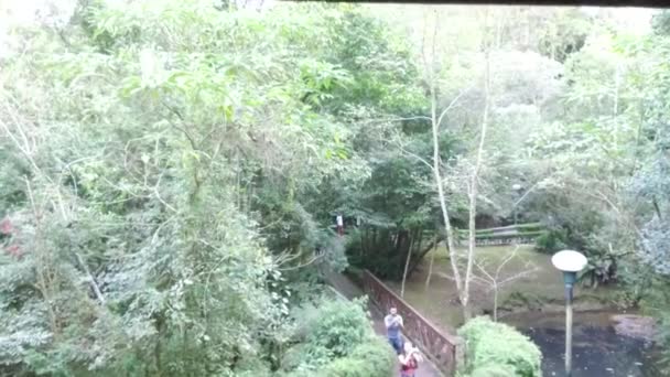 Brücke Laterne Bäume Blick Durch Holzfundament Rutsche Vor Und Zurück — Stockvideo