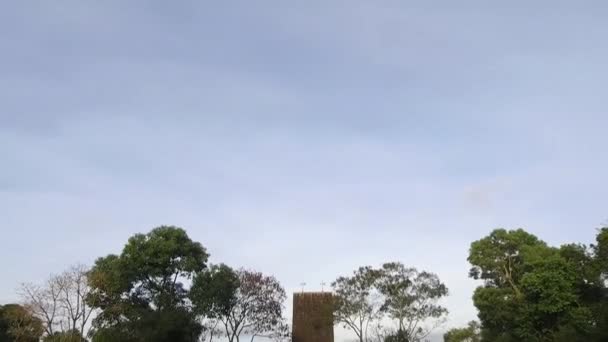 Sky Trees People Walking Bridge Tilt — Video Stock