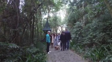 People Walking On Cobbles Alley Way Surrounded By Flora And Dog - Static - Slight Slide Right To Left.