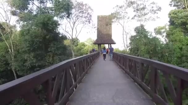 People Walking Bridge Surrounded Flora Slide Forward — 비디오